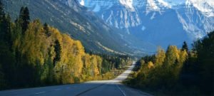 This is an interview book of world film composers.